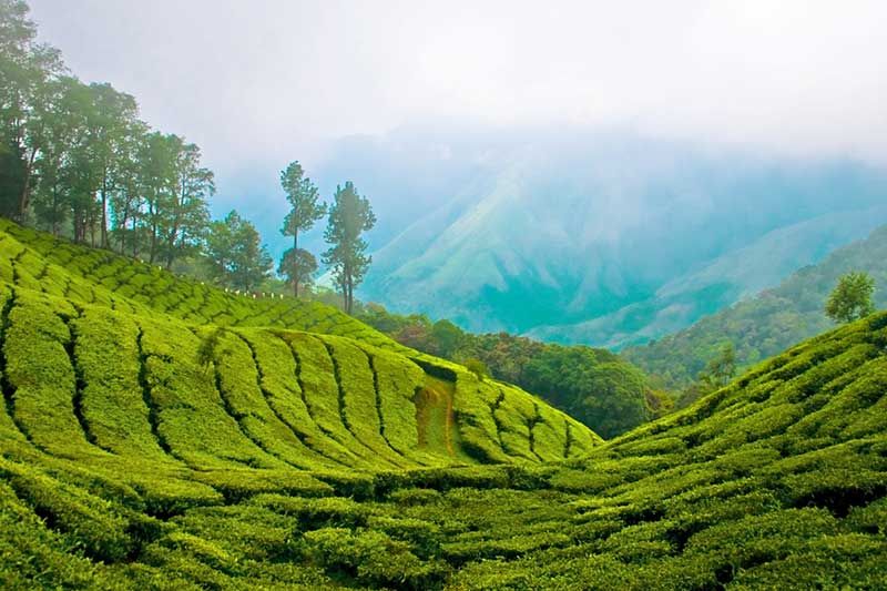 MUNNAR HOLIDAYS