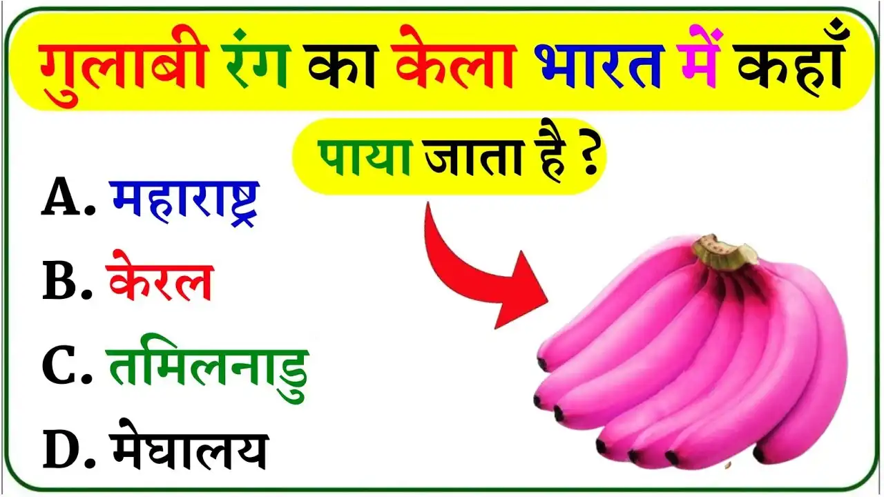 General Knowledge In Hindi
